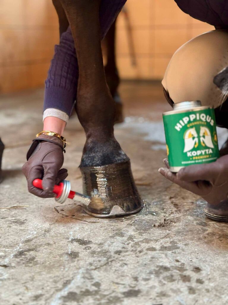 Zdrowe kopyta – podstawa końskiego dobrostanu