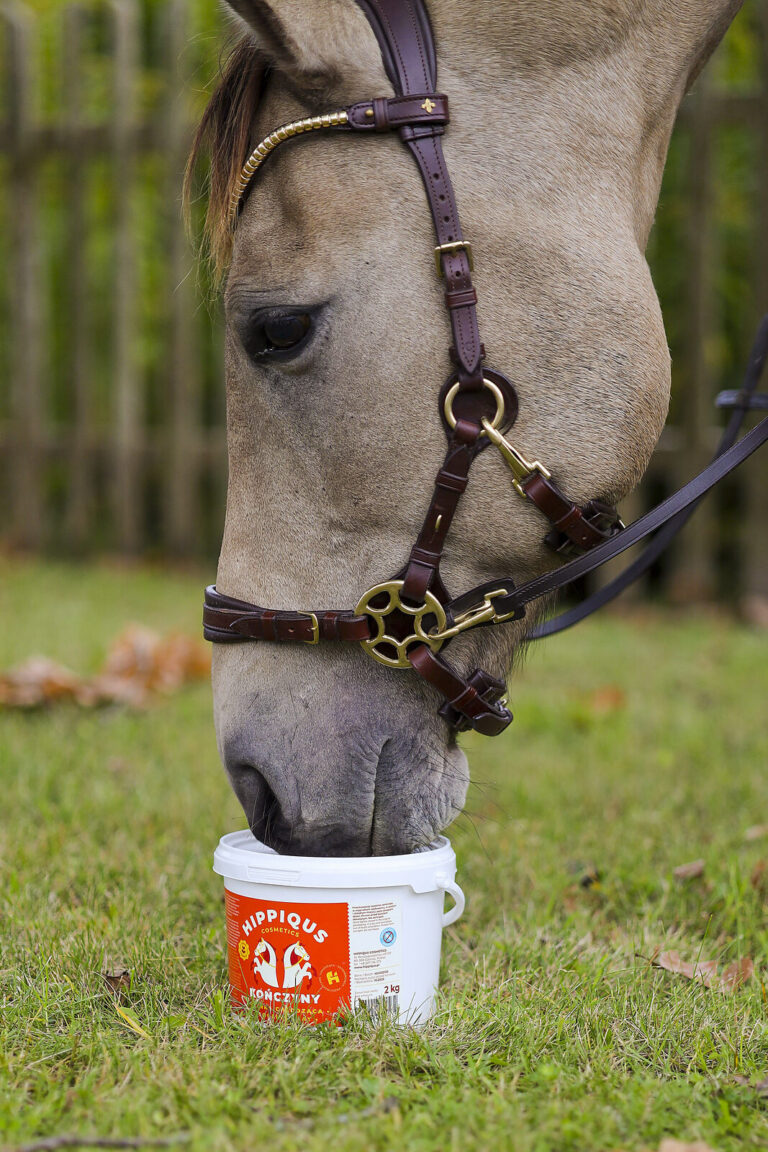 Jesienny reset dla końskich nóg – jak działa chłodząca glinka Hippiqus Cosmetics?