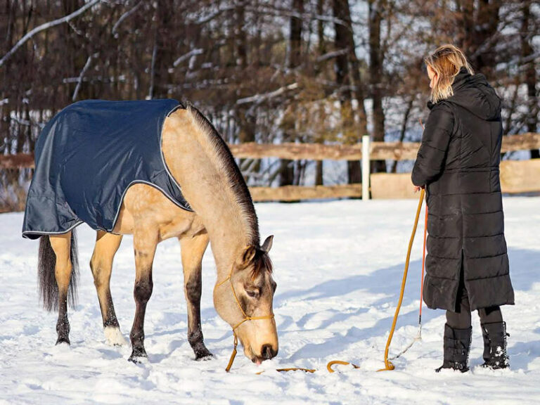 Zima w stajni to nie pauza – to inny rodzaj troski