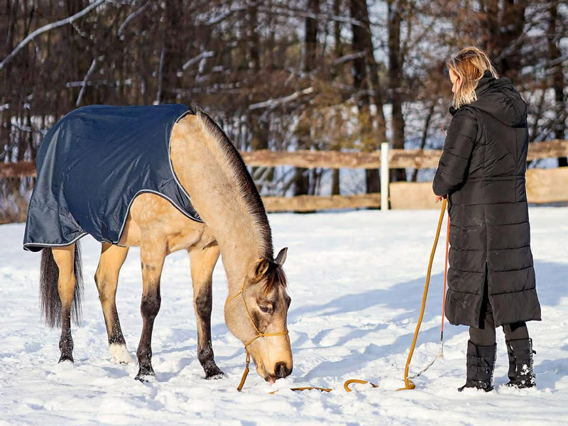 trening z koniem zima