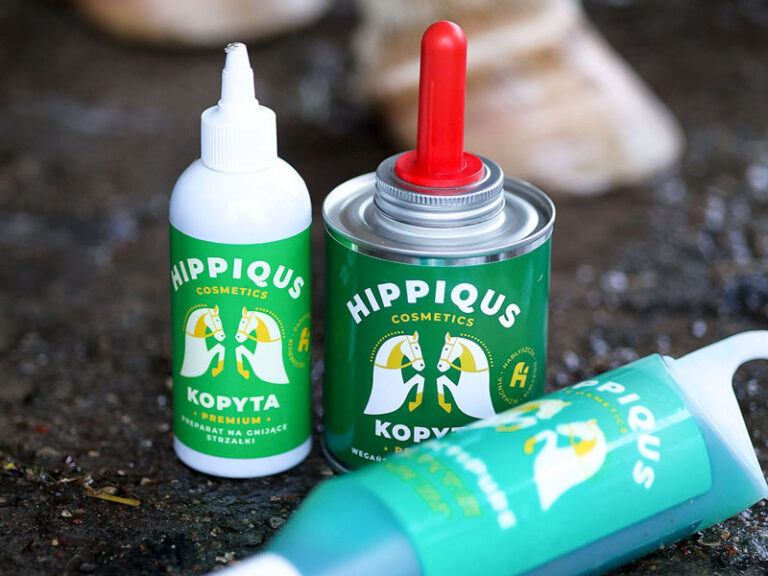 Zimowa pielęgnacja konia krok po kroku – praktyczny poradnik na wymagające miesiące