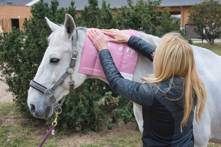 QuickClean od Hippiqus – mała zmiana, która robi ogromną różnicę w codziennej pracy z koniem