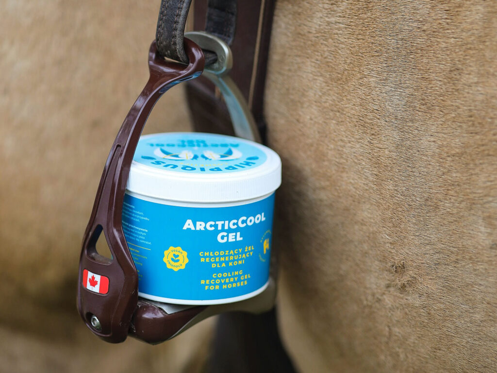 pomoc w regeneracji sciegien koni arctic cool gel hippiqus cosmetics