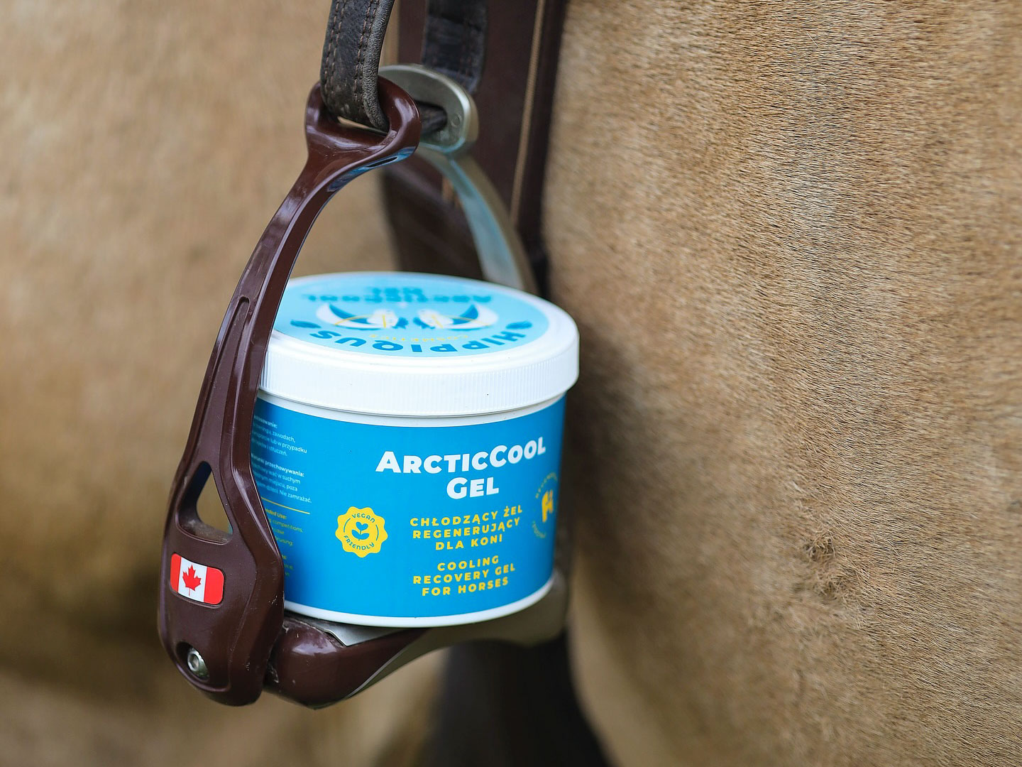zel do regeneracji konskich sciegien arctic cool gel hippiqus cosmetisc